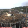 13_15-nest.jpg