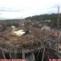 13_40-nest.jpg