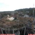 13_45-nest.jpg
