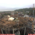 14_00-nest.jpg