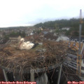 14_05-nest.jpg
