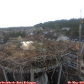 14_20-nest.jpg