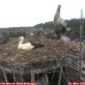14_55-nest.jpg