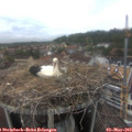 15_35-nest.jpg