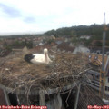 15_45-nest.jpg