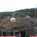 16_10-nest.jpg