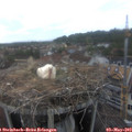 16_15-nest.jpg
