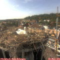 17_15-nest.jpg