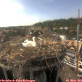 17_20-nest.jpg