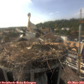 17_45-nest.jpg