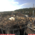 18_10-nest.jpg