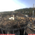 18_30-nest.jpg