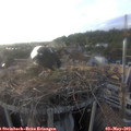 18_55-nest.jpg