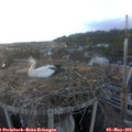 19_30-nest.jpg