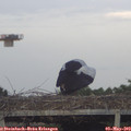 19_35-mast.jpg