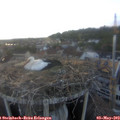 19_40-nest.jpg