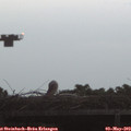 20_35-mast.jpg