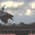 06_45-mast.jpg