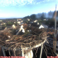 07_05-nest.jpg