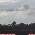 07_10-mast.jpg