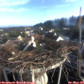 07_10-nest.jpg