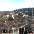 08_05-nest.jpg