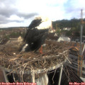 08_35-nest.jpg