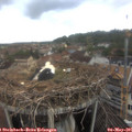 08_55-nest.jpg