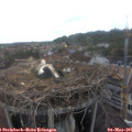 09_25-nest.jpg