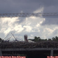 09_35-mast.jpg