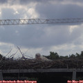 09_40-mast.jpg