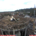 09_40-nest.jpg