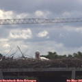 09_50-mast.jpg