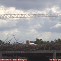 09_55-mast.jpg