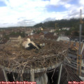 09_55-nest.jpg