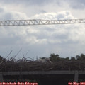 10_05-mast.jpg