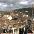 10_10-nest.jpg