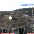 10_35-nest.jpg