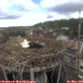 10_40-nest.jpg