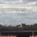 10_45-mast.jpg
