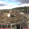 10_45-nest.jpg