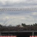 11_00-mast.jpg