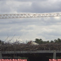 11_05-mast.jpg