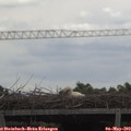 11_25-mast.jpg
