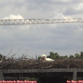 11_30-mast.jpg