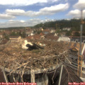 11_30-nest.jpg