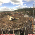 11_40-nest.jpg