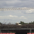 11_45-mast.jpg