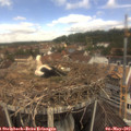 11_45-nest.jpg
