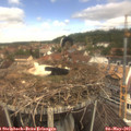 12_00-nest.jpg